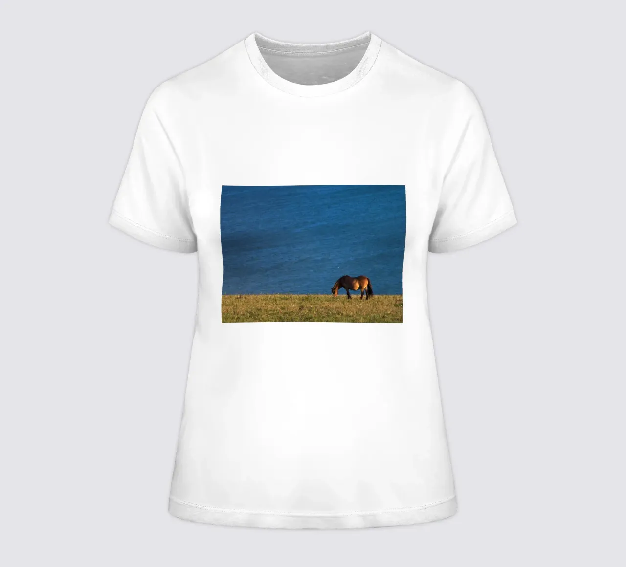 weide van paard dames t-shirt getailleerd van Horsire