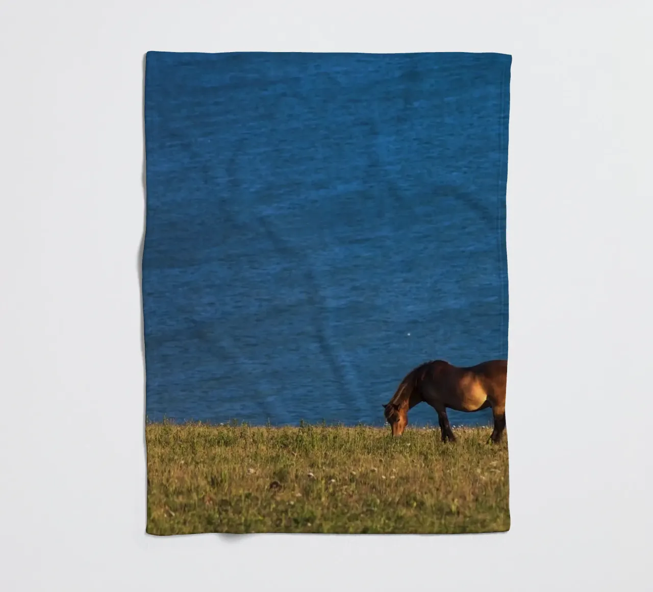 pascolo di cavalli coperta in pile da Horsire