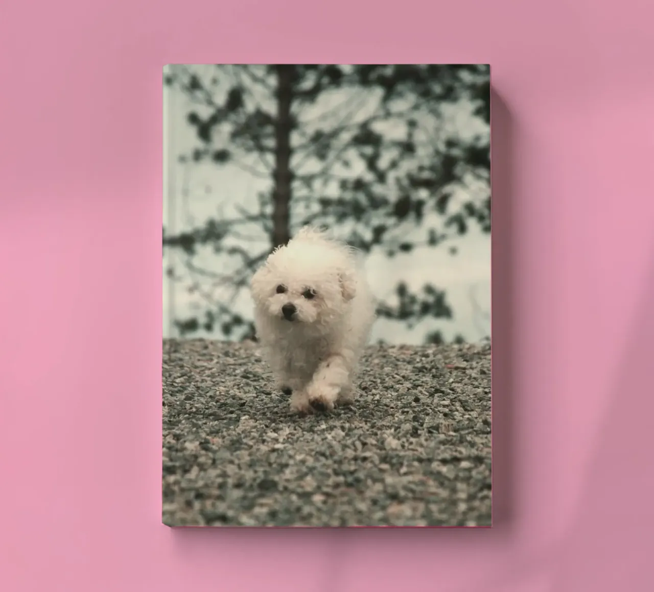 chiot jouant dans une forêt lumineuse carnet de notes de animal story home
