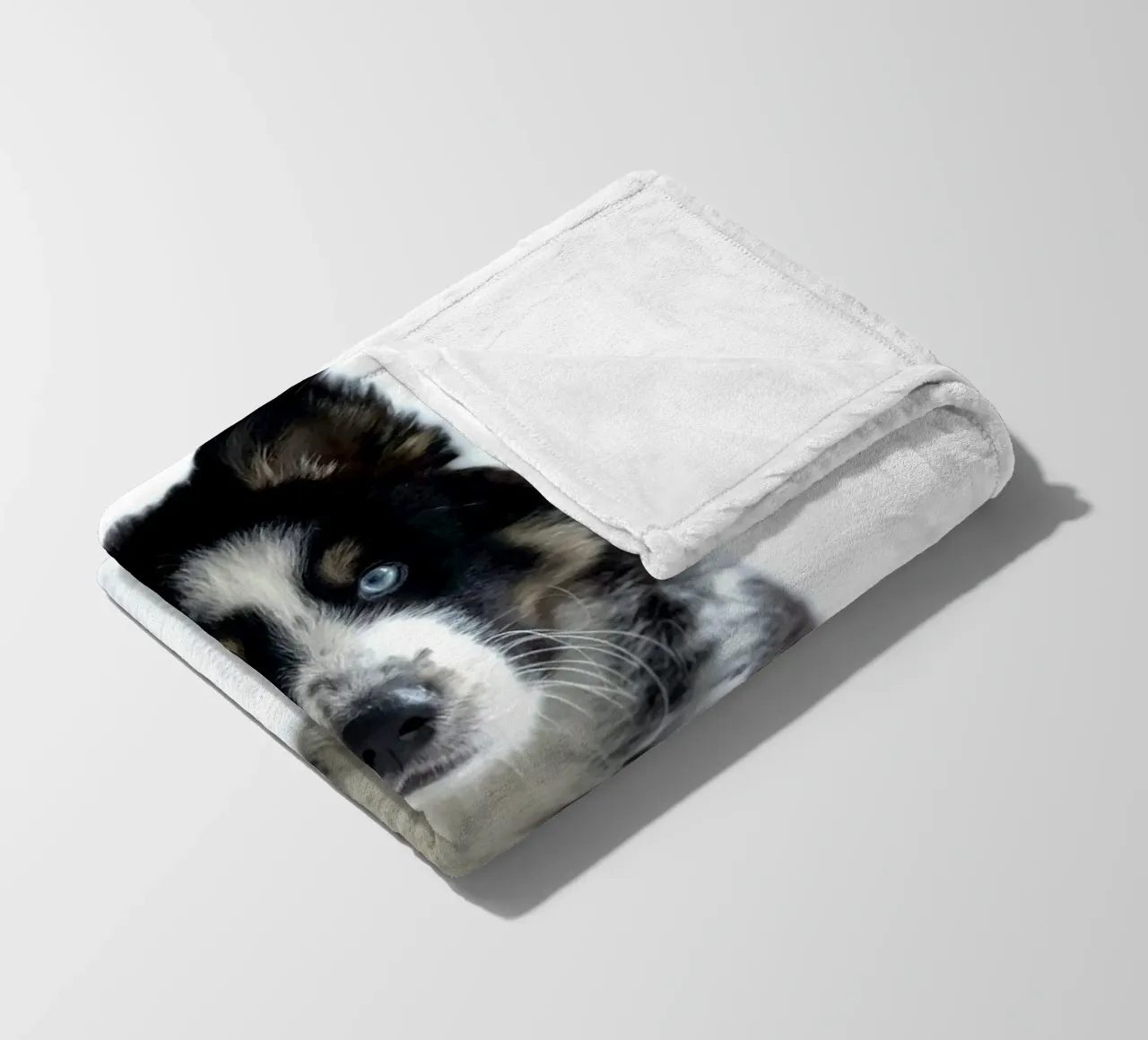 cucciolo con occhi blu coperta in pile da animal story home