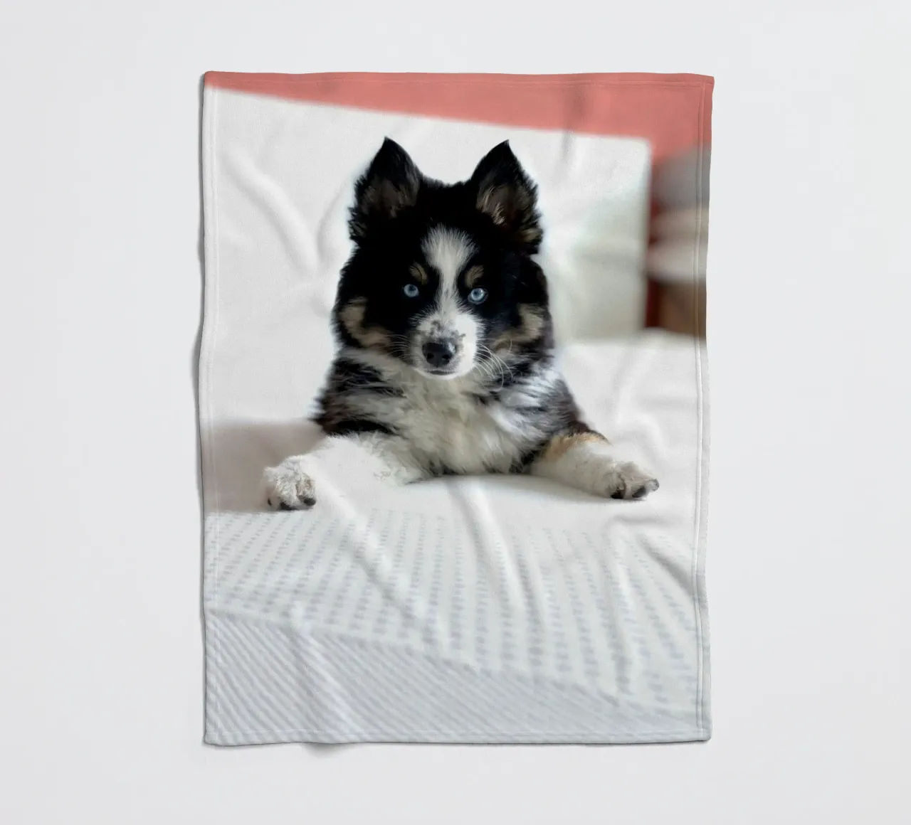 cucciolo con occhi blu coperta in pile da animal story home