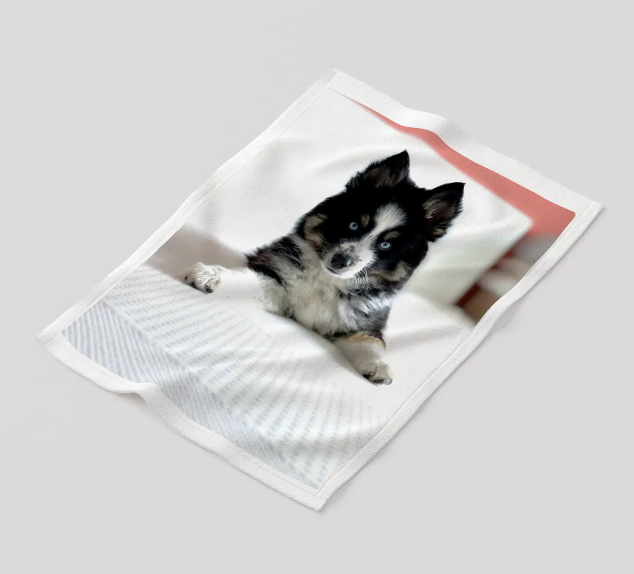 cucciolo con occhi blu coperta in pile da animal story home
