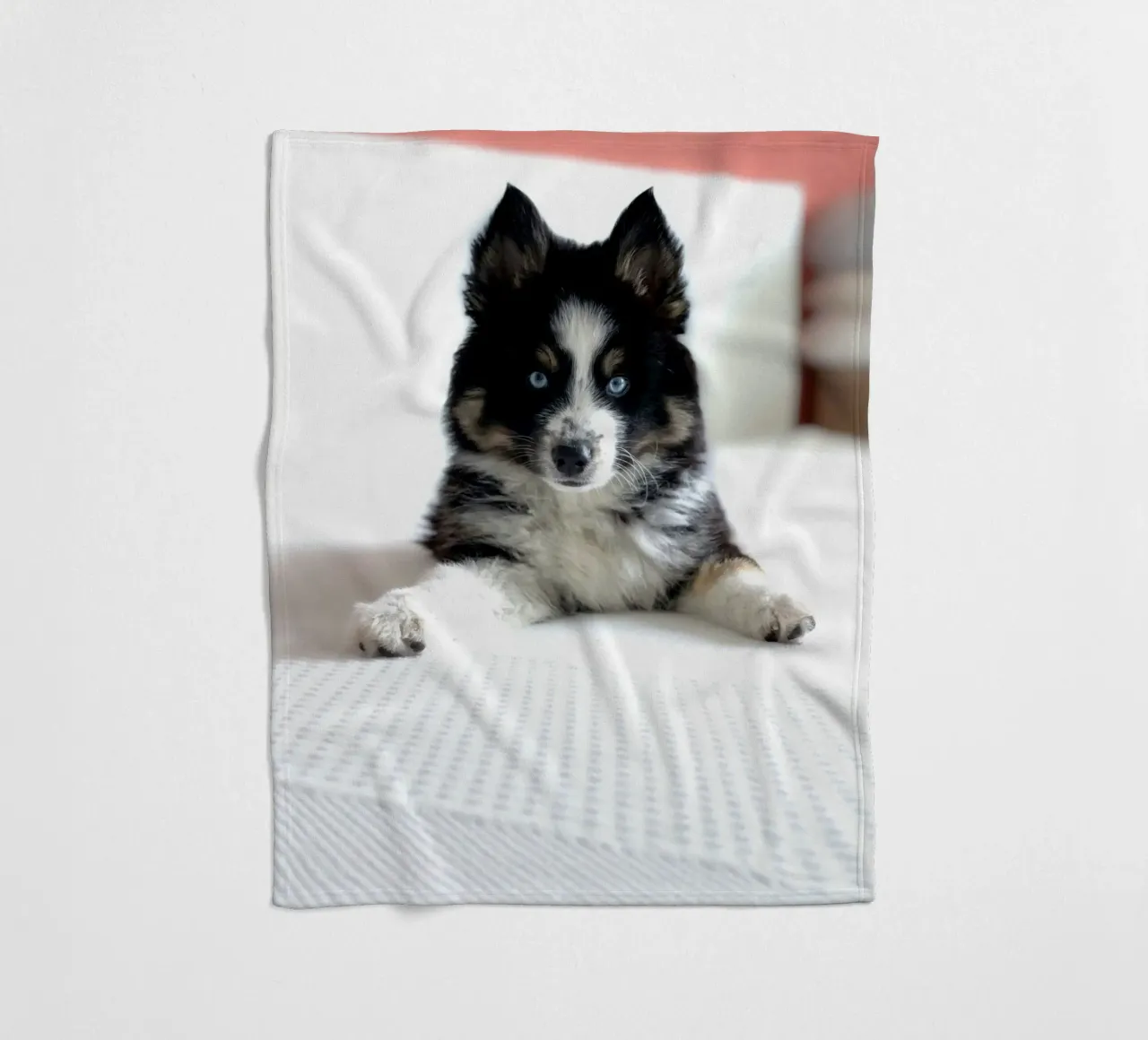 cucciolo con occhi blu coperta in pile da animal story home