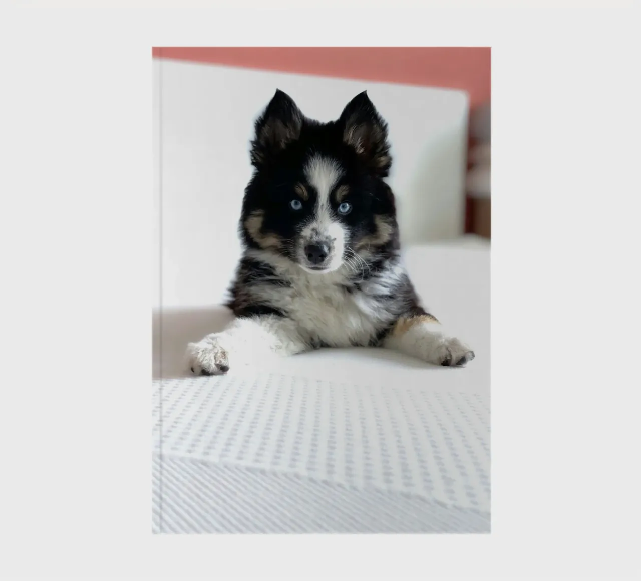 puppy with blue eyes notebook by animal story home