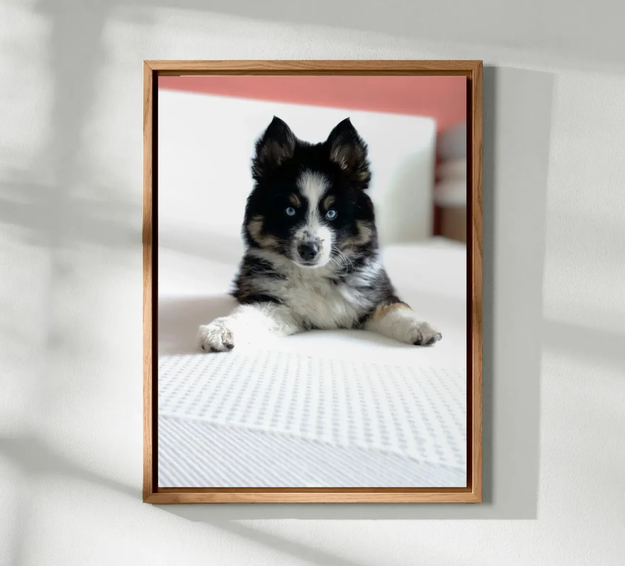 cucciolo con occhi blu alluminio dibond da animal story home