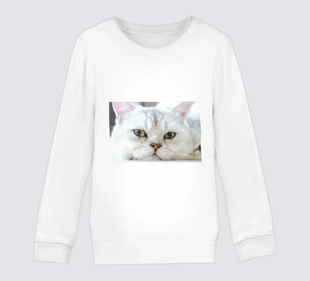 baffi gatto rilassato felpa bambino da animal story home