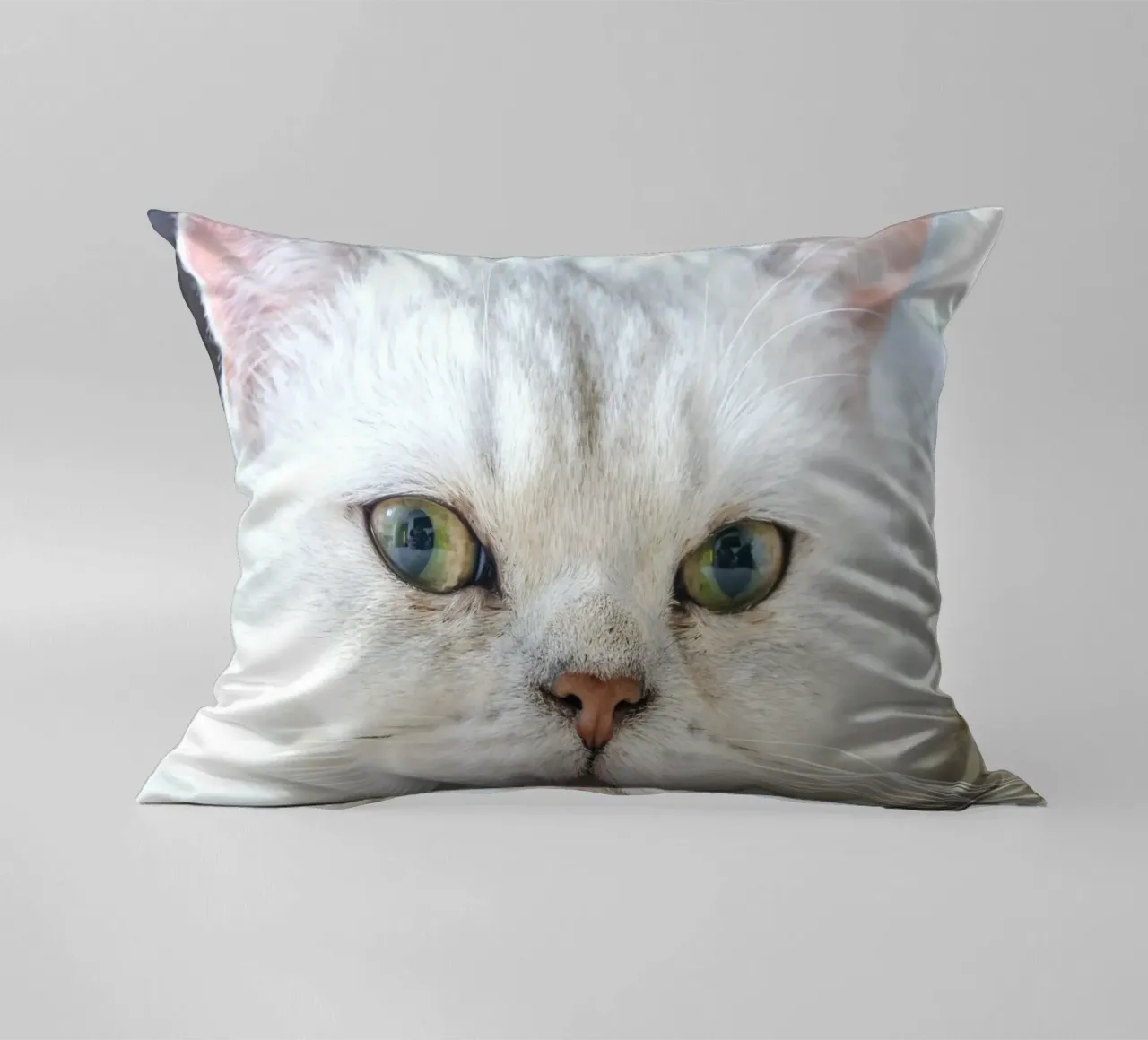 baffi gatto rilassato cuscino da animal story home