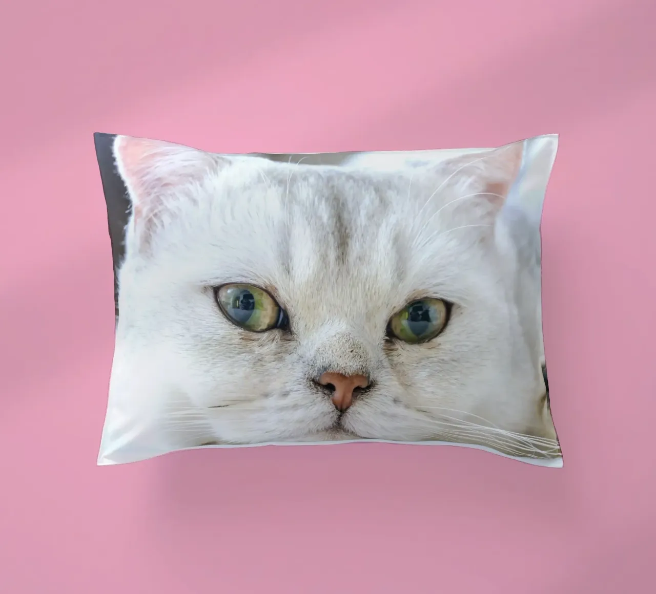 baffi gatto rilassato cuscino da animal story home