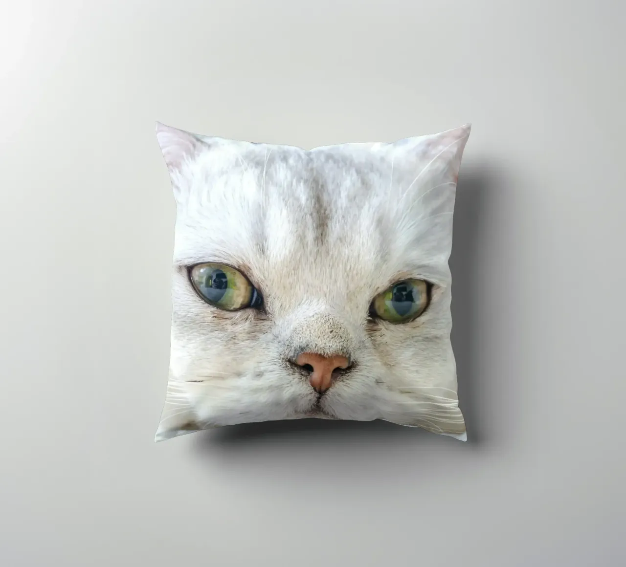 baffi gatto rilassato cuscino da animal story home