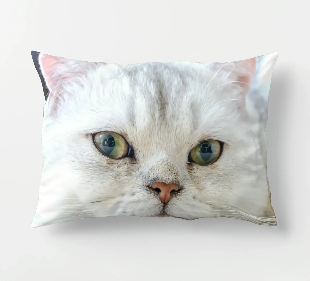 baffi gatto rilassato cuscino da animal story home