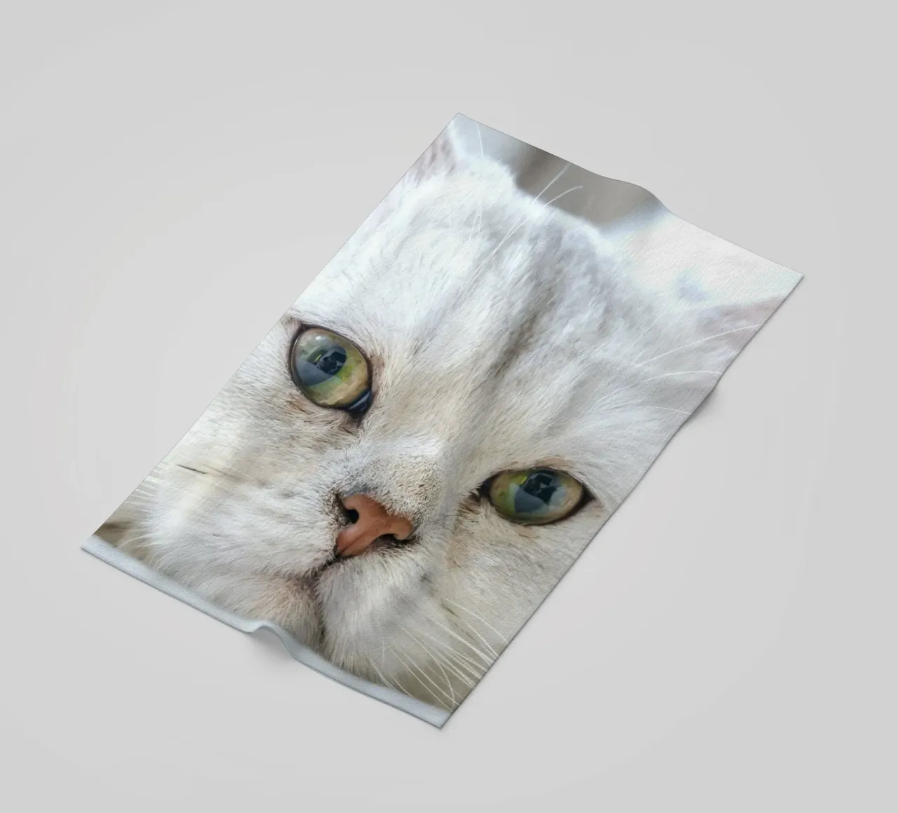 Schnurrhaare Katze entspannt Strandtuch von animal story home