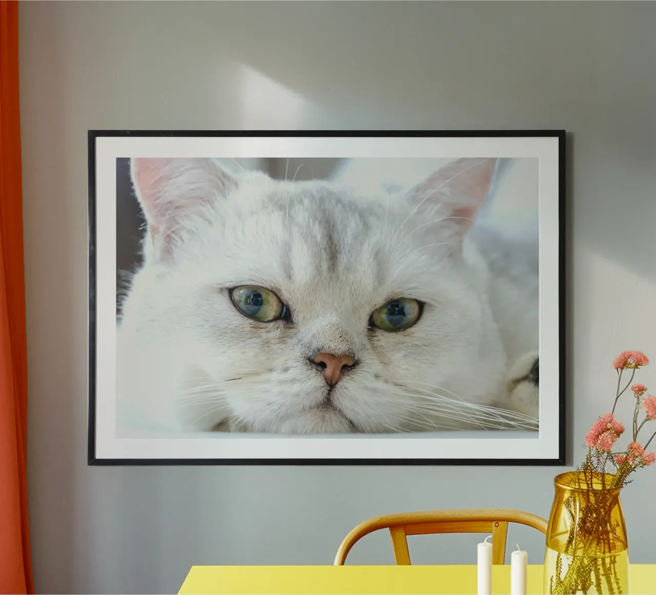 baffi gatto rilassato carta hahnemühle da animal story home