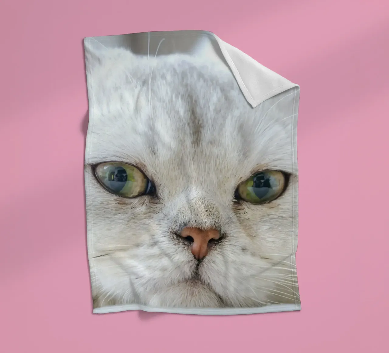 baffi gatto rilassato coperta in pile da animal story home