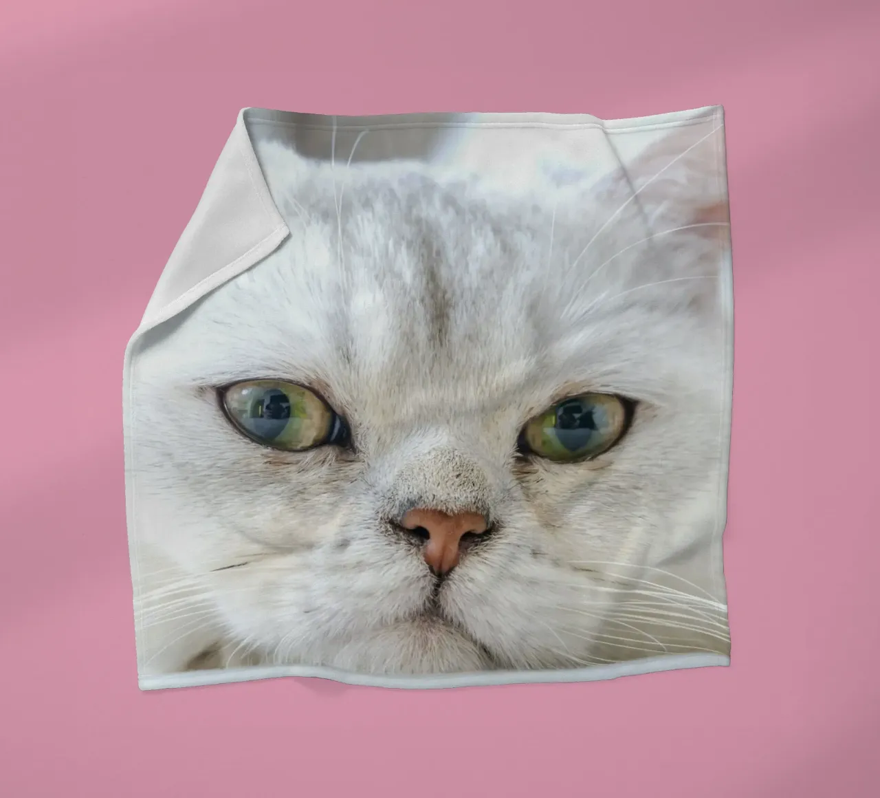 baffi gatto rilassato coperta in pile da animal story home