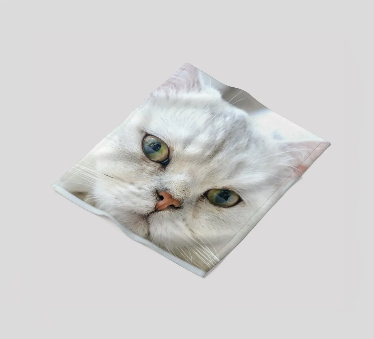baffi gatto rilassato coperta in pile da animal story home