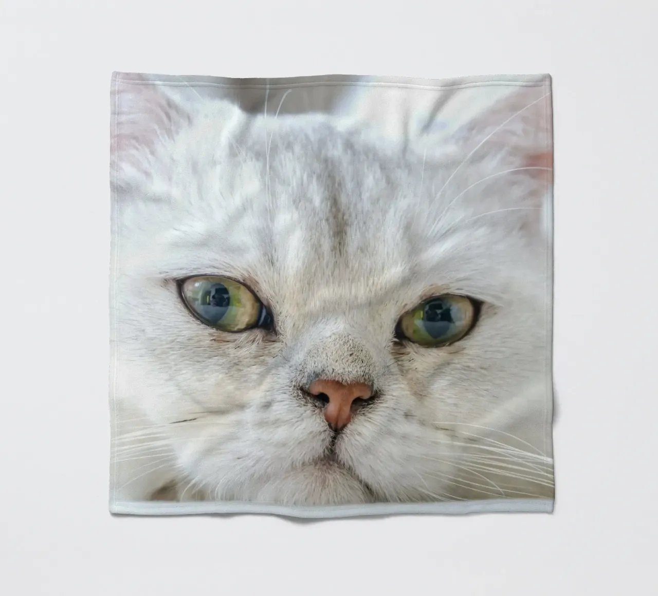 baffi gatto rilassato coperta in pile da animal story home
