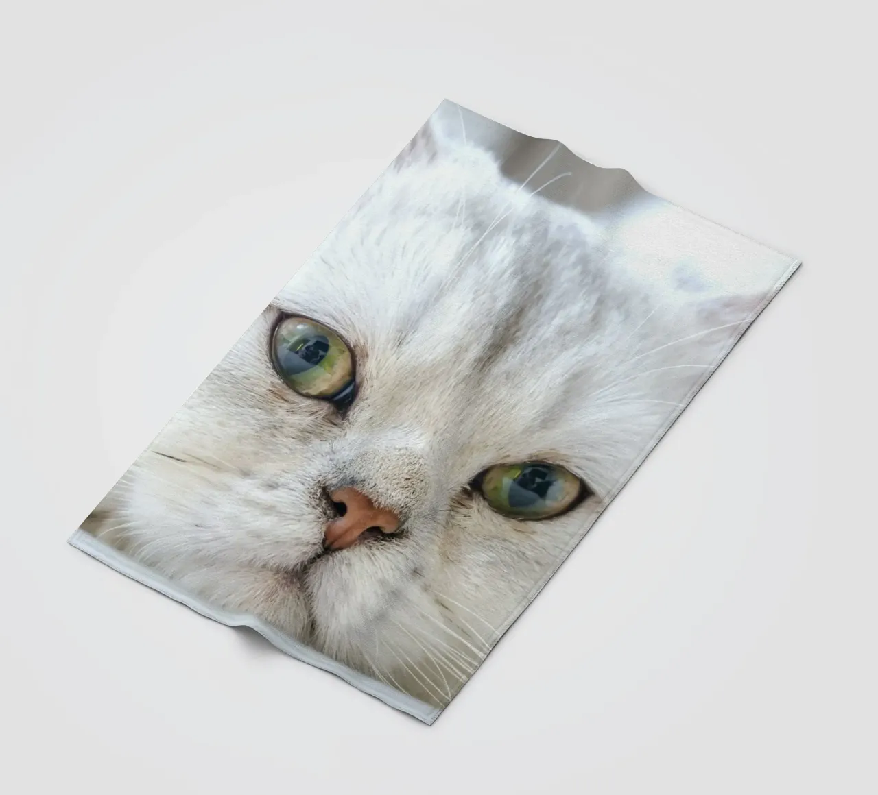 baffi gatto rilassato coperta in pile da animal story home