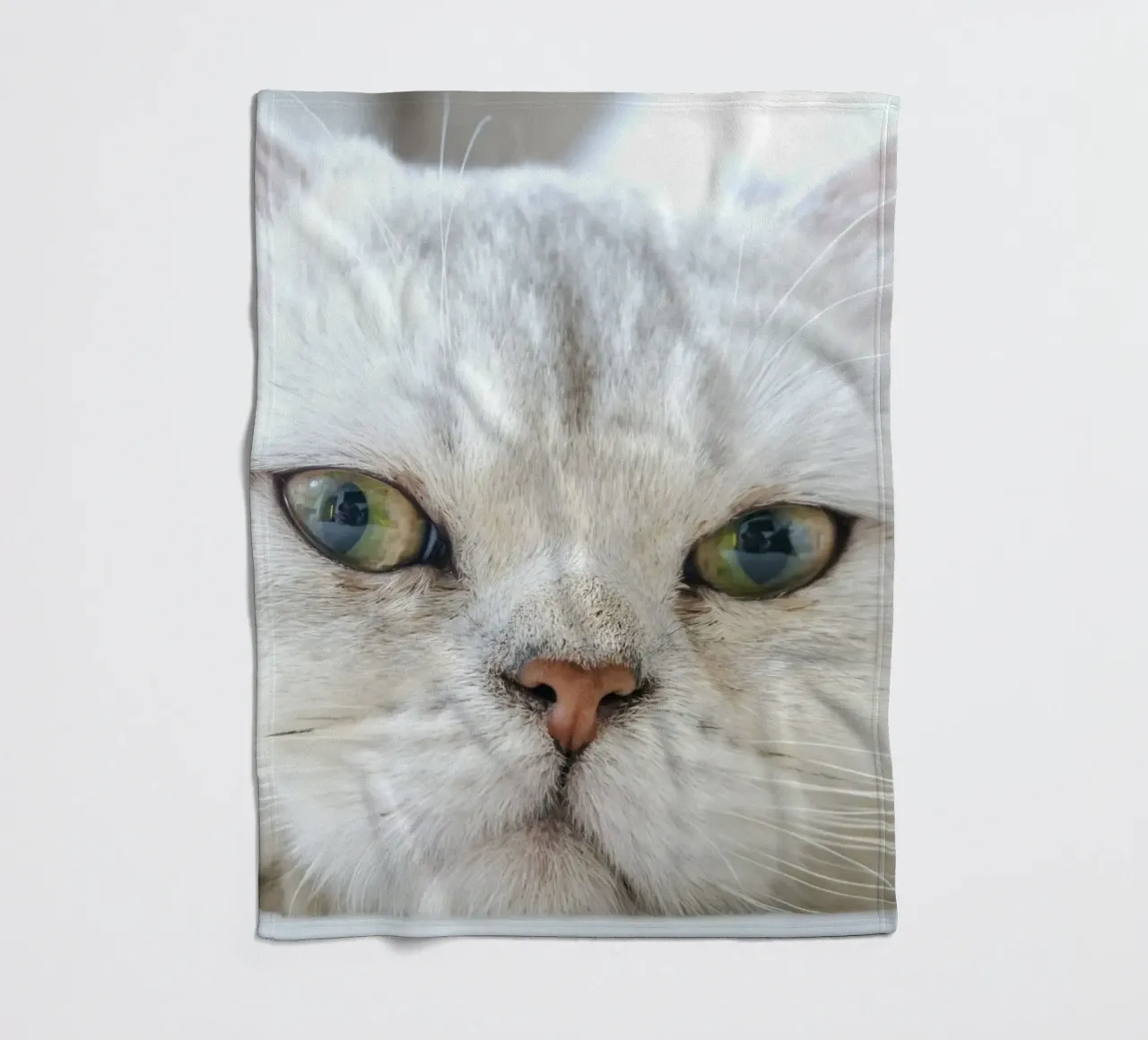 baffi gatto rilassato coperta in pile da animal story home