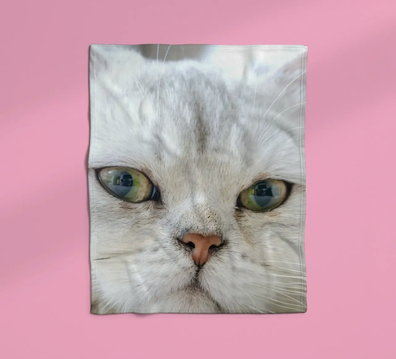 baffi gatto rilassato coperta in pile da animal story home