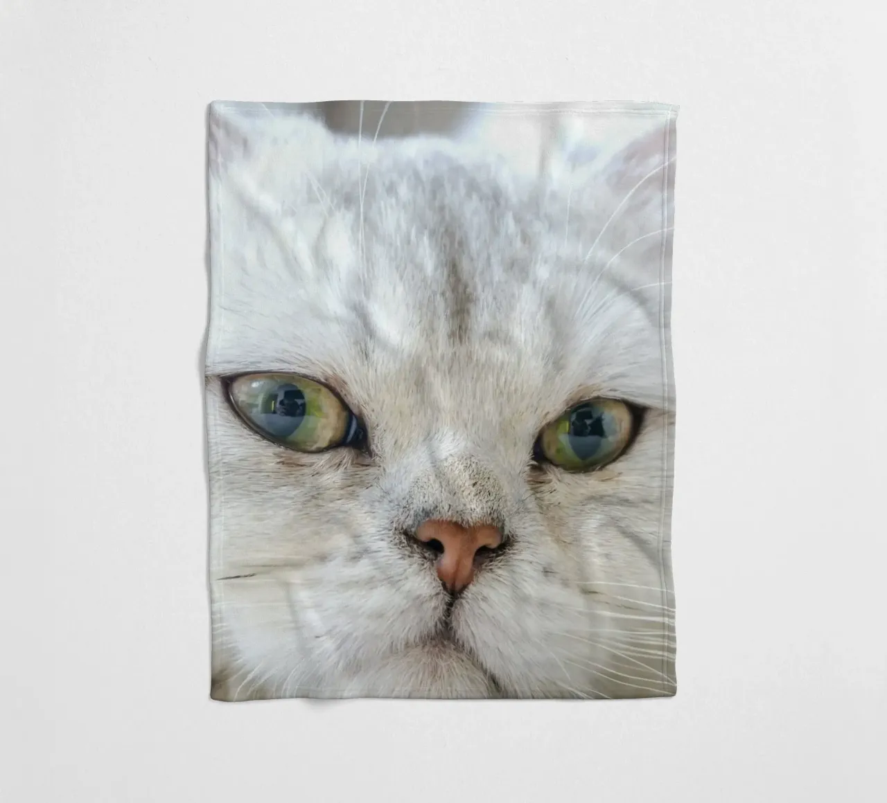baffi gatto rilassato coperta in pile da animal story home
