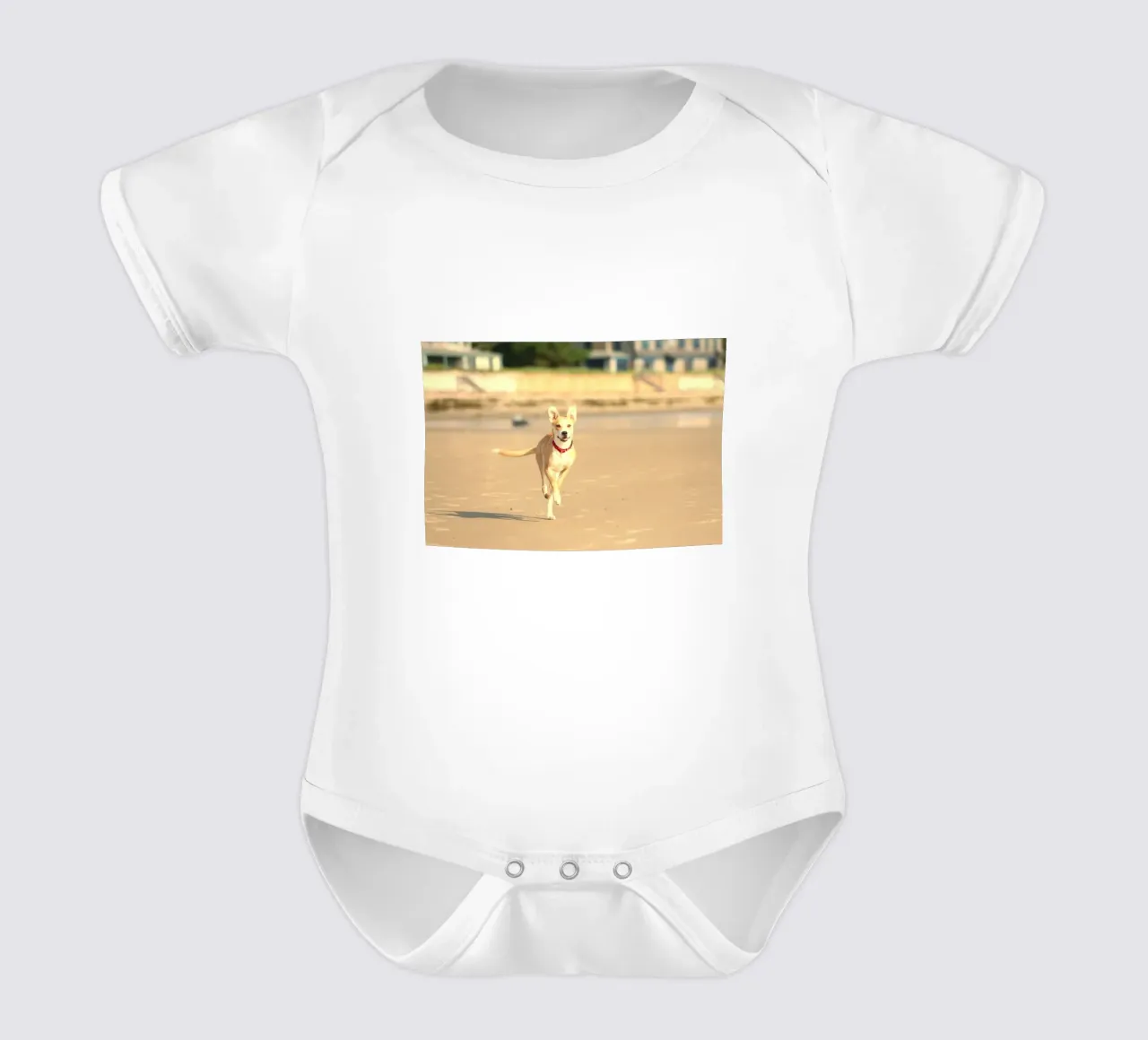 cane che corre in spiaggia body neonato maniche corte da animal story home
