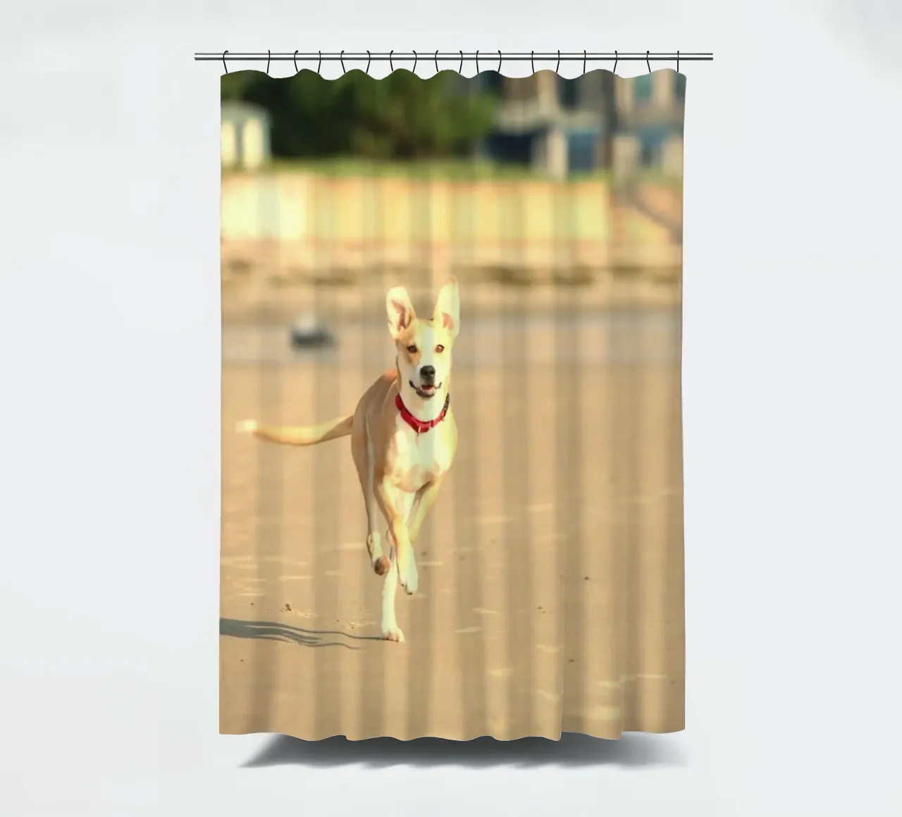 cane che corre in spiaggia tenda da doccia da animal story home