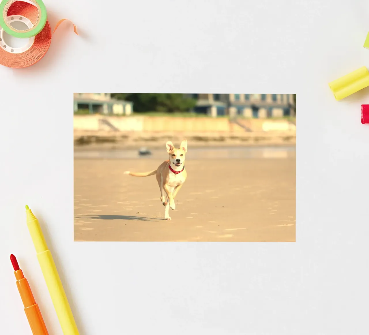 chien courant sur la plage autocollant de animal story home