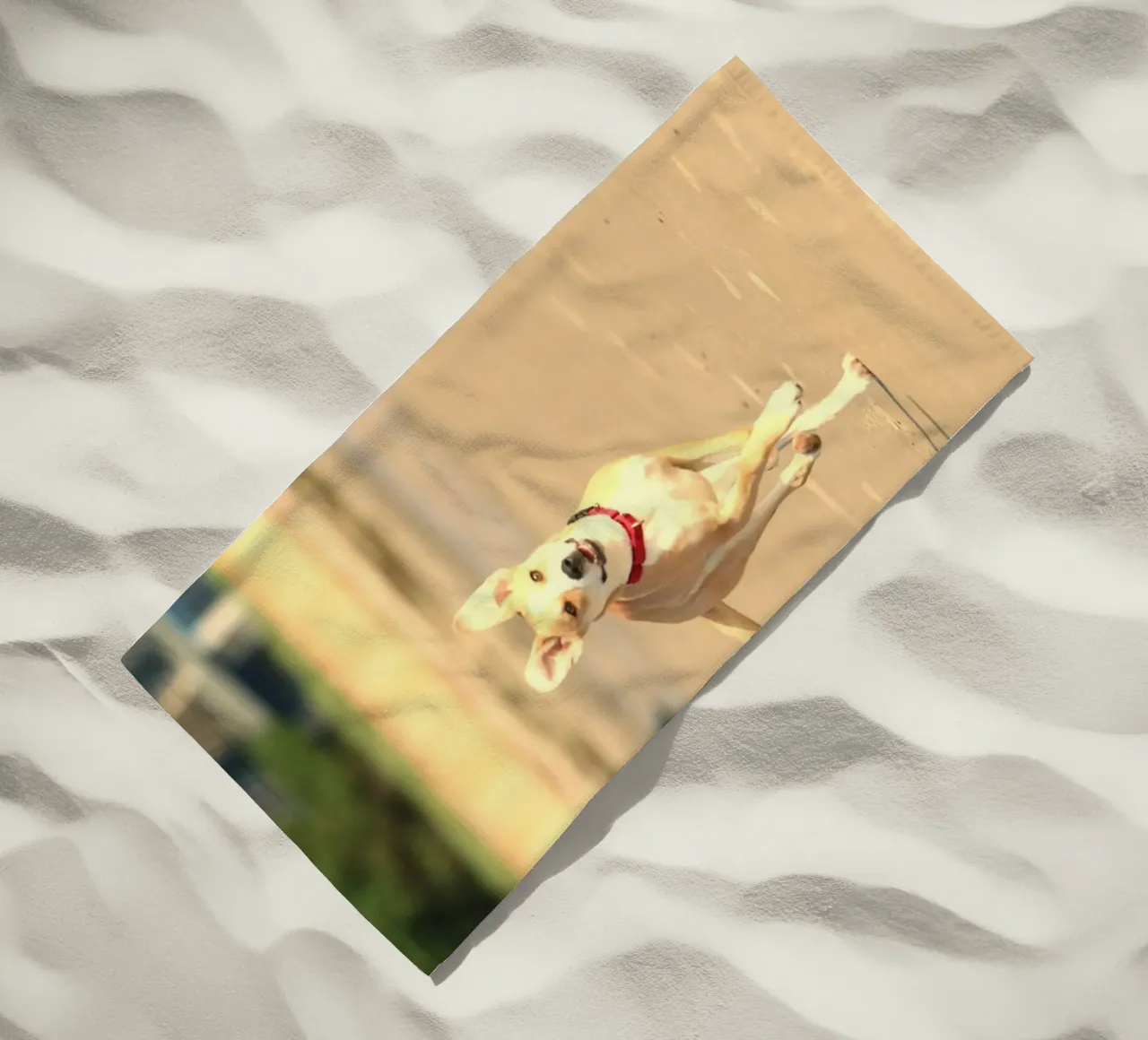 cane che corre in spiaggia telo mare da animal story home