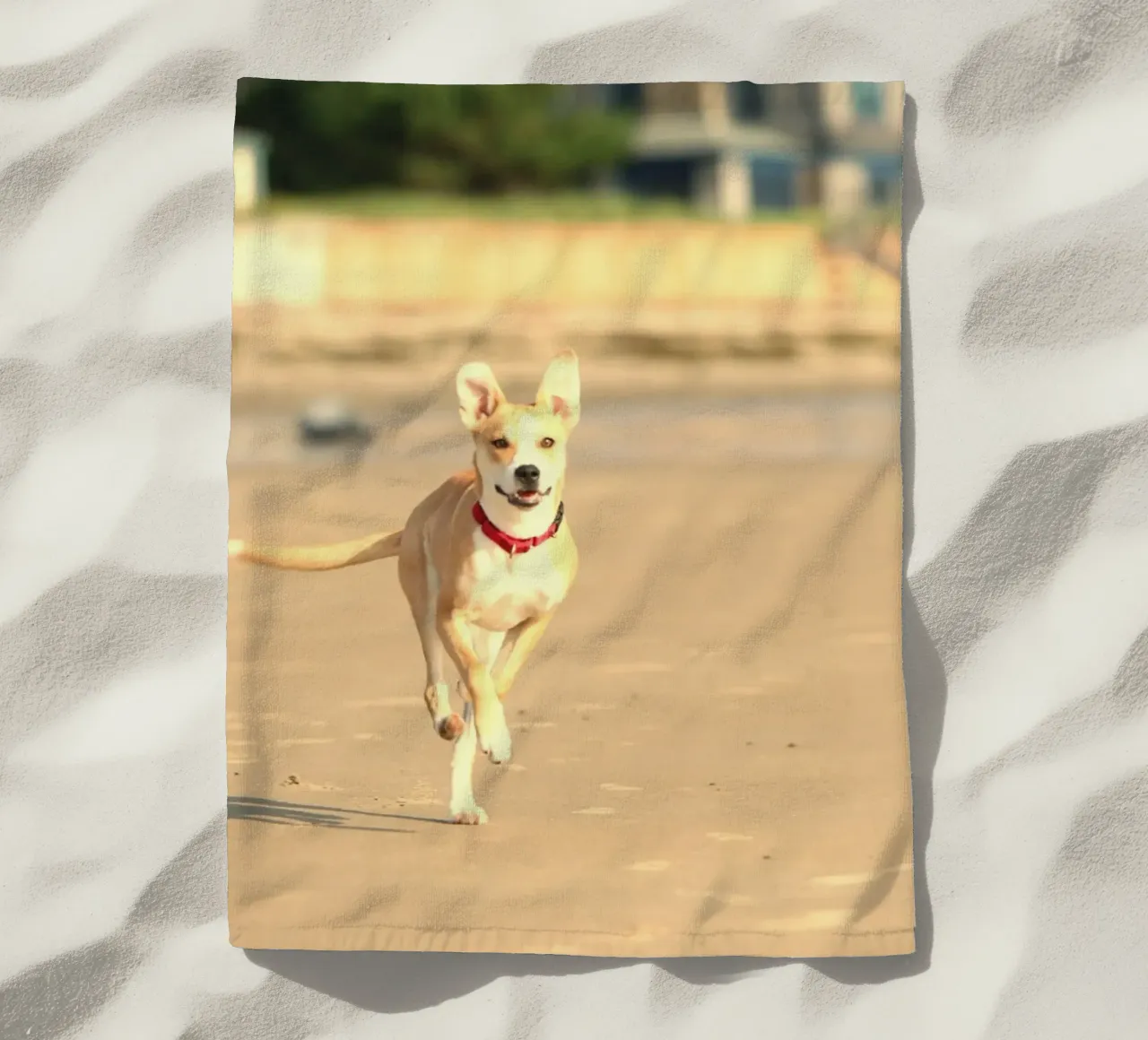 cane che corre in spiaggia telo mare da animal story home