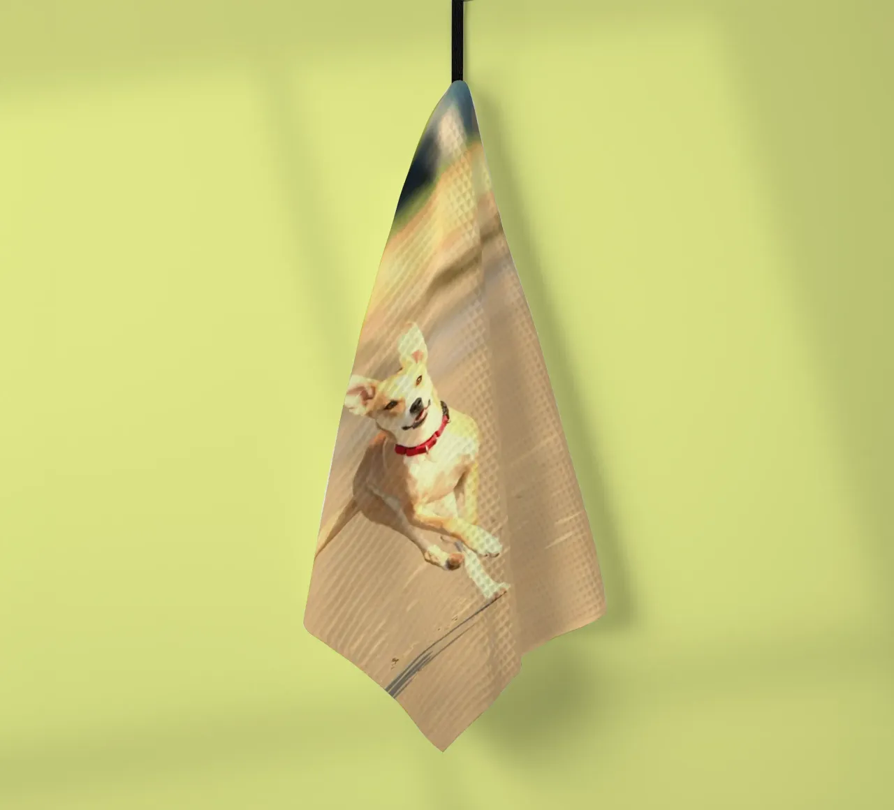 cane che corre in spiaggia canovaccio da cucina da animal story home