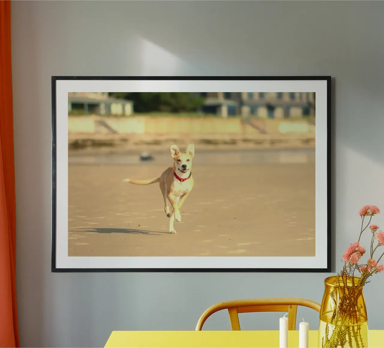 cane che corre in spiaggia carta hahnemühle da animal story home
