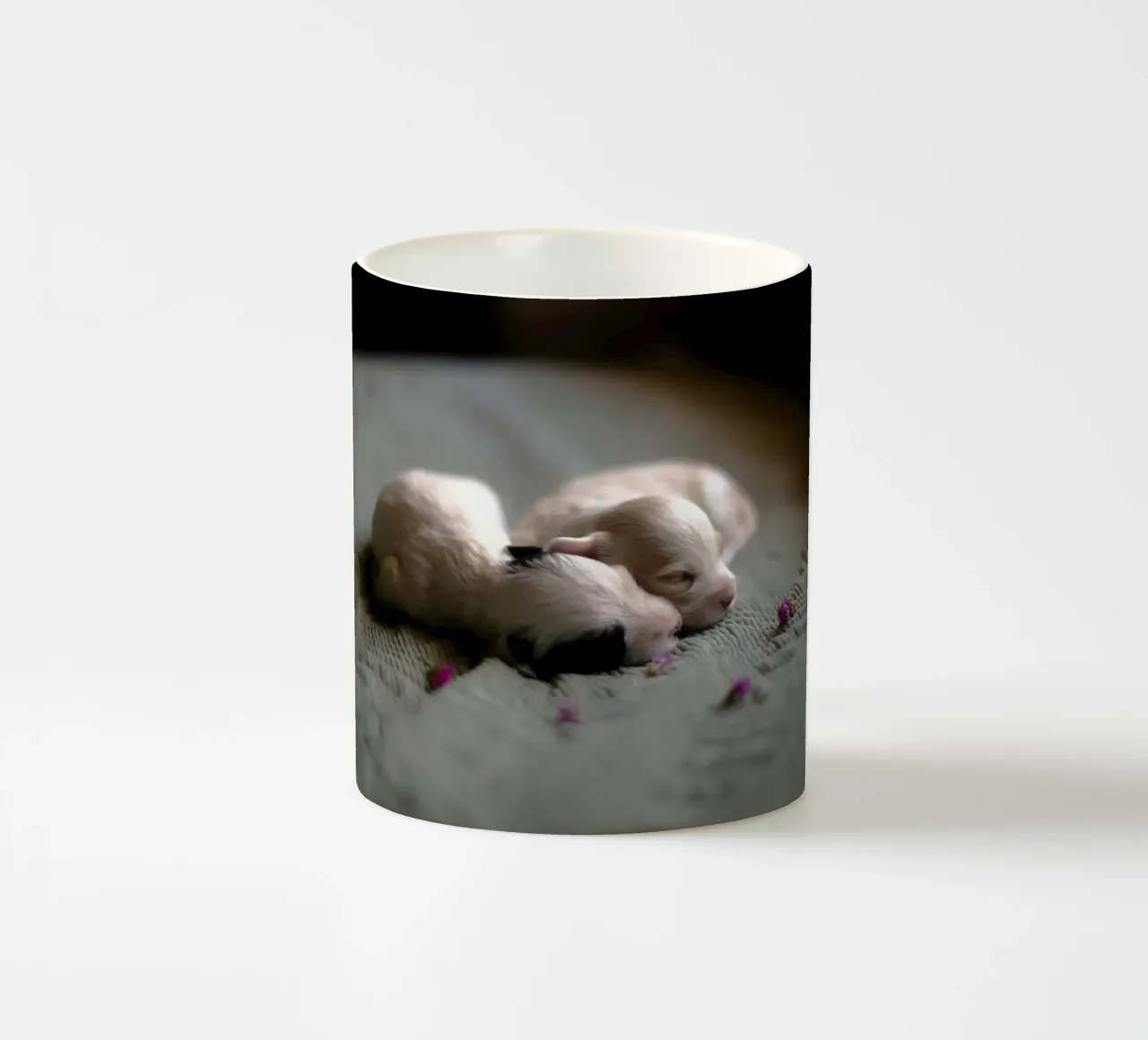 cuccioli appena nati che dormono tazza in ceramica da animal story home