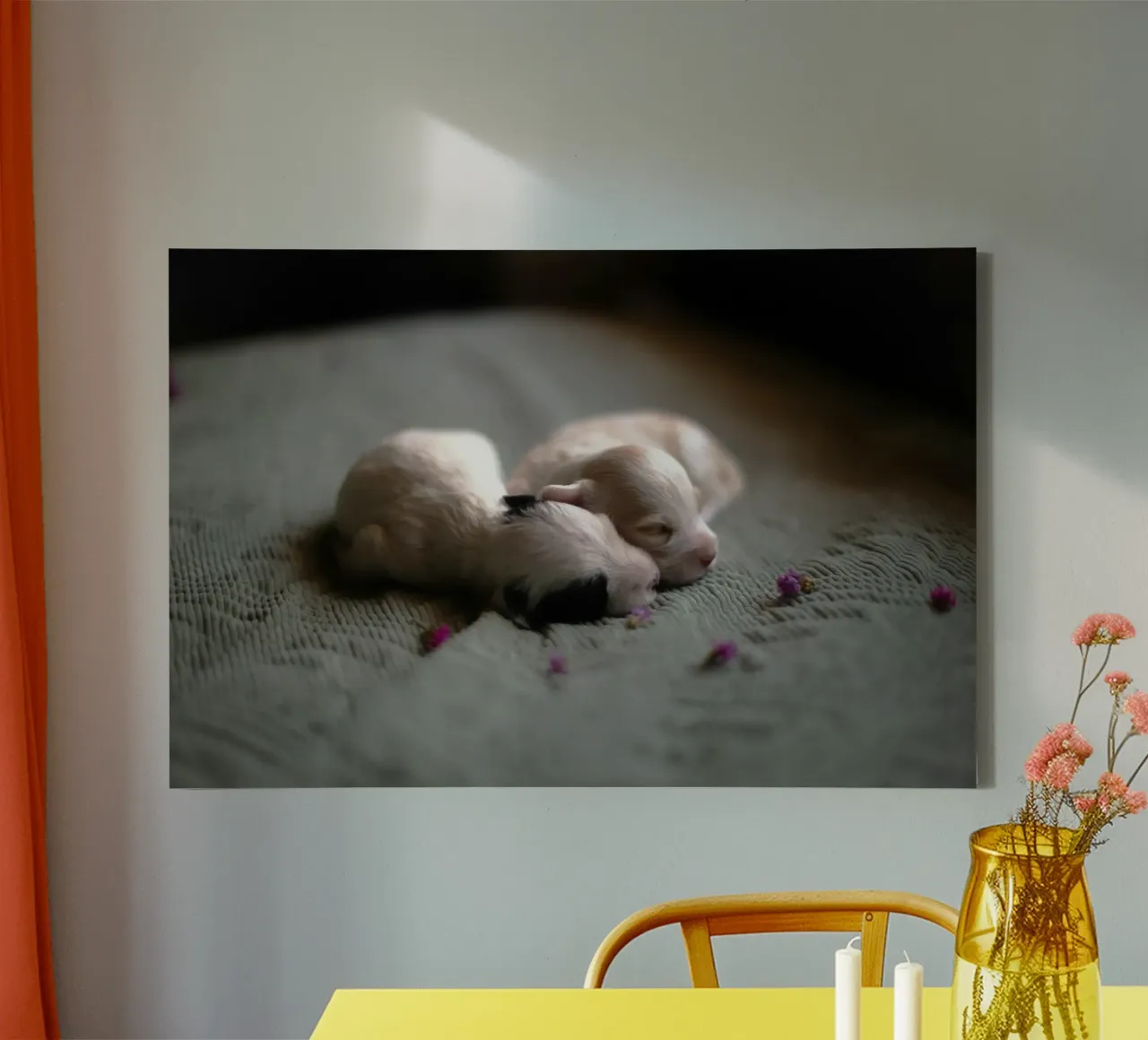 cuccioli appena nati che dormono tela con Cornice a cassetta da animal story home