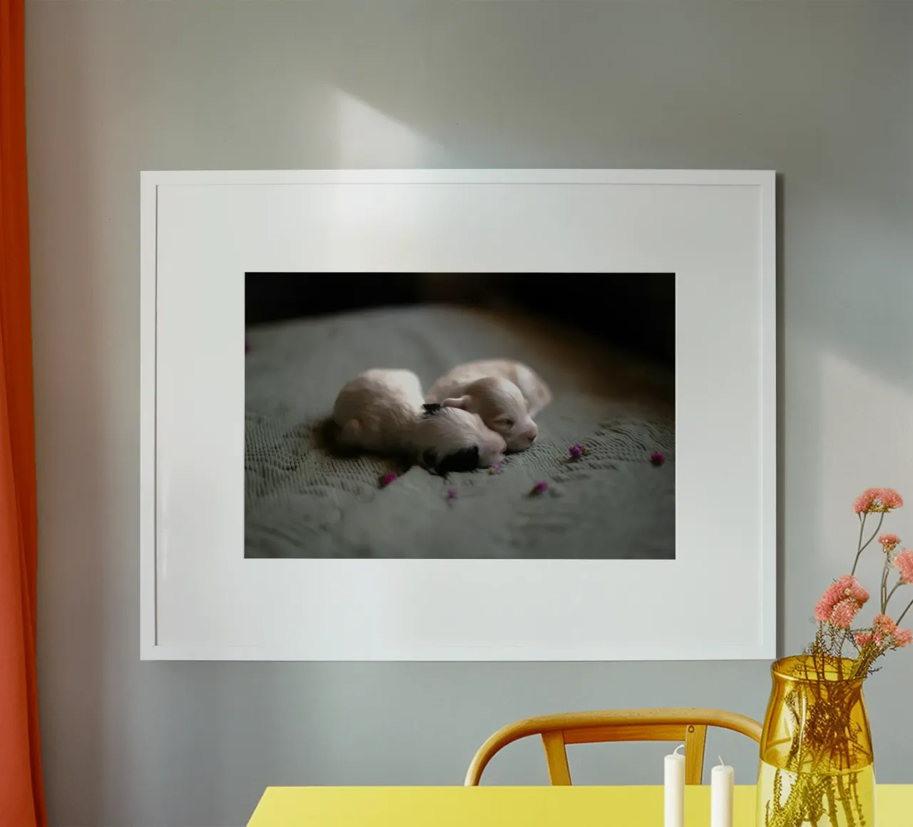 cuccioli appena nati che dormono poster da animal story home