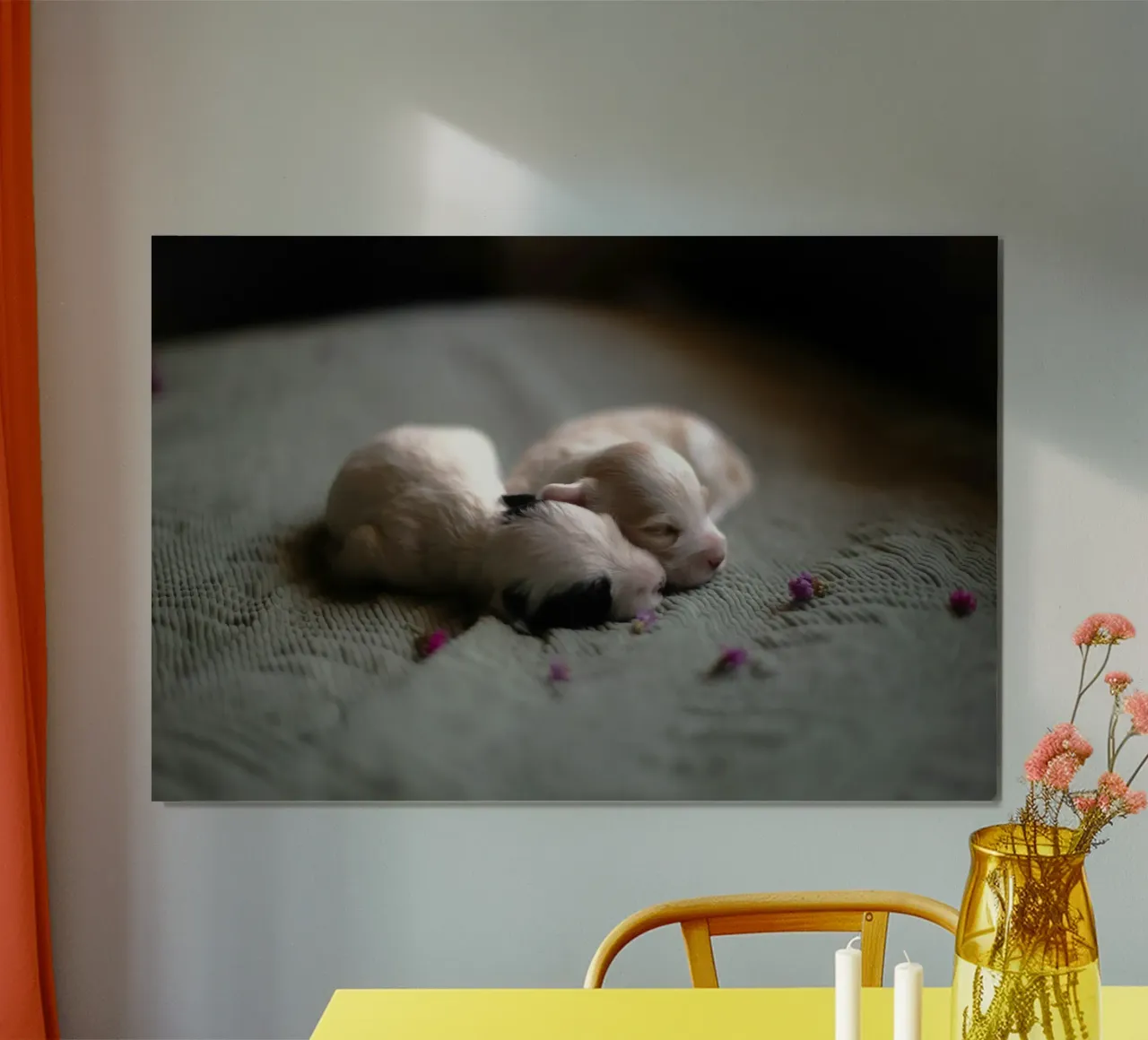 cuccioli appena nati che dormono poster da animal story home