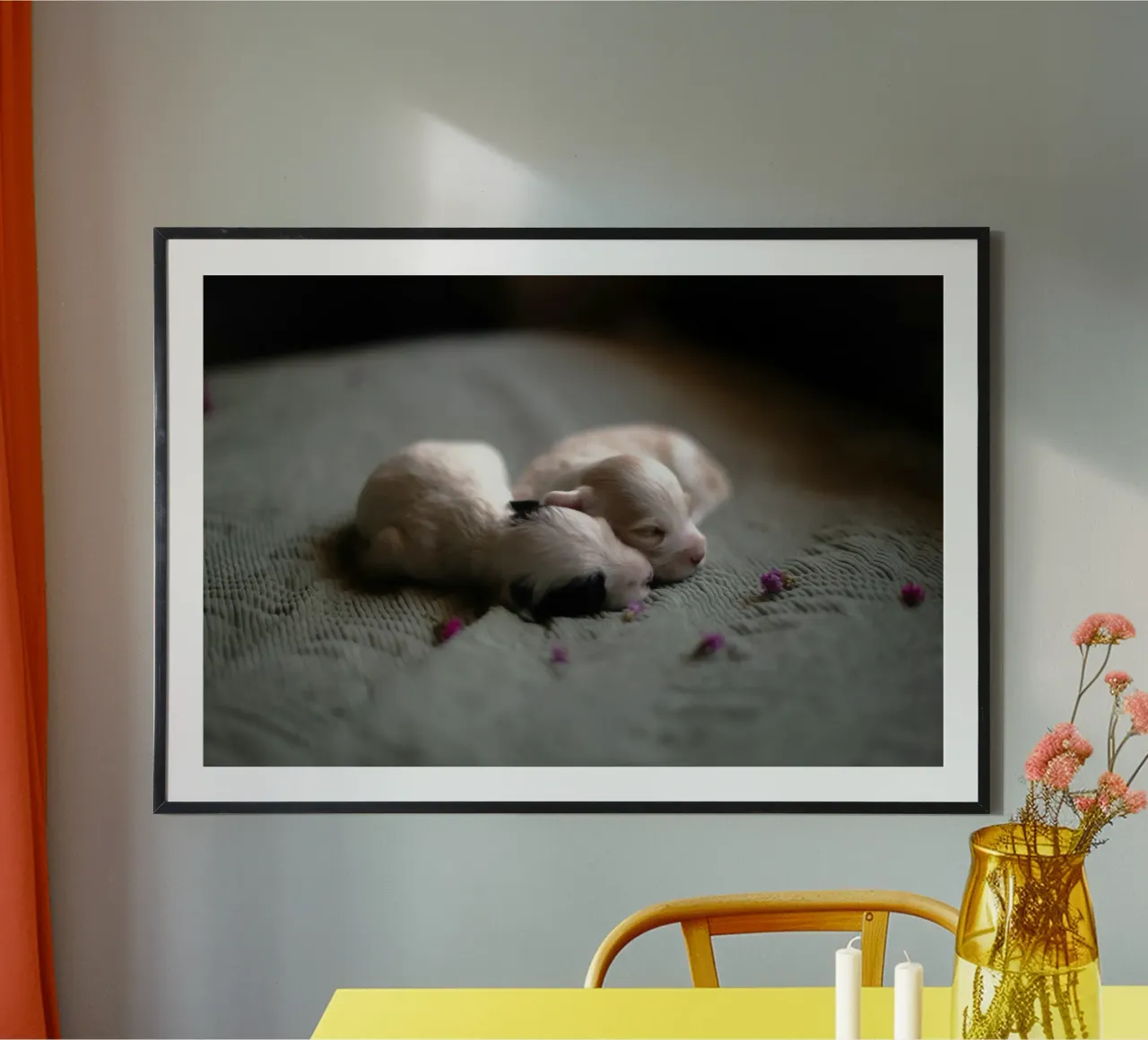 cuccioli appena nati che dormono poster da animal story home