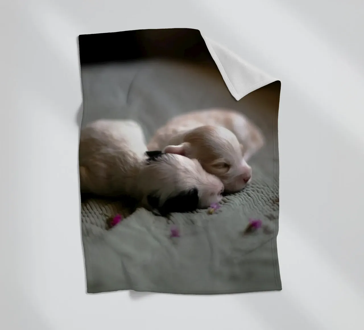 cuccioli appena nati che dormono coperta in pile da animal story home