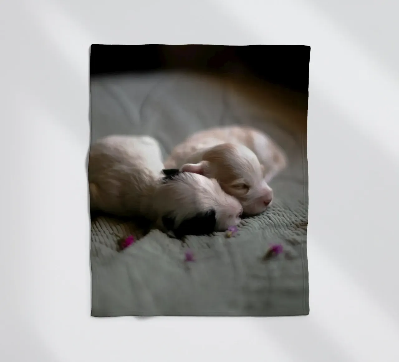 cuccioli appena nati che dormono coperta in pile da animal story home
