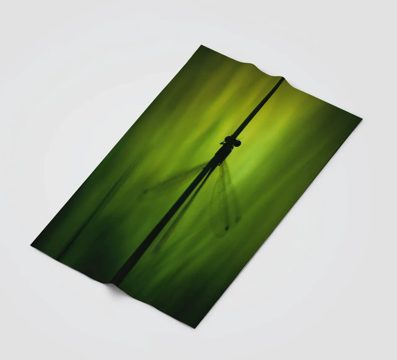 Dragonfly No. 1 coperta in pile da OUTSIDE ONLY