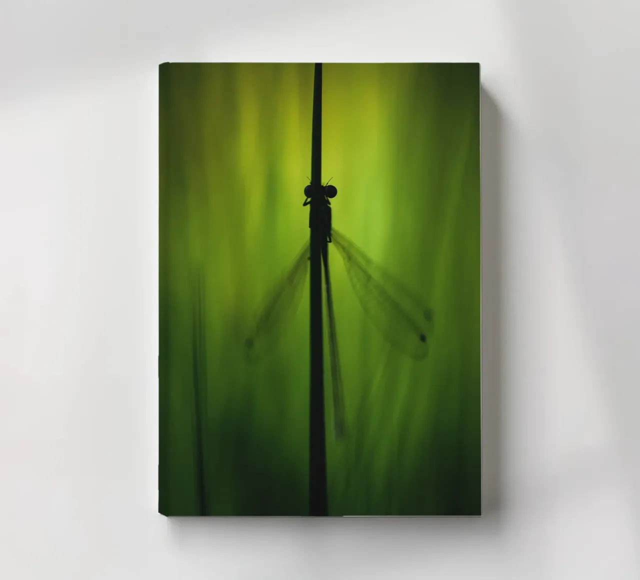 Dragonfly No. 1 diario da OUTSIDE ONLY