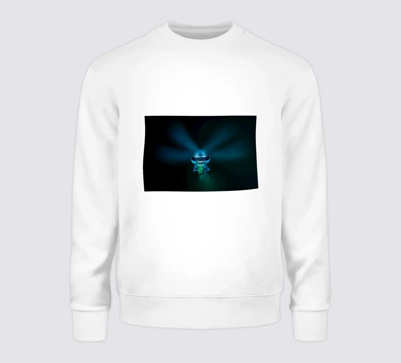 Dragonfly No. 2 felpa da OUTSIDE ONLY