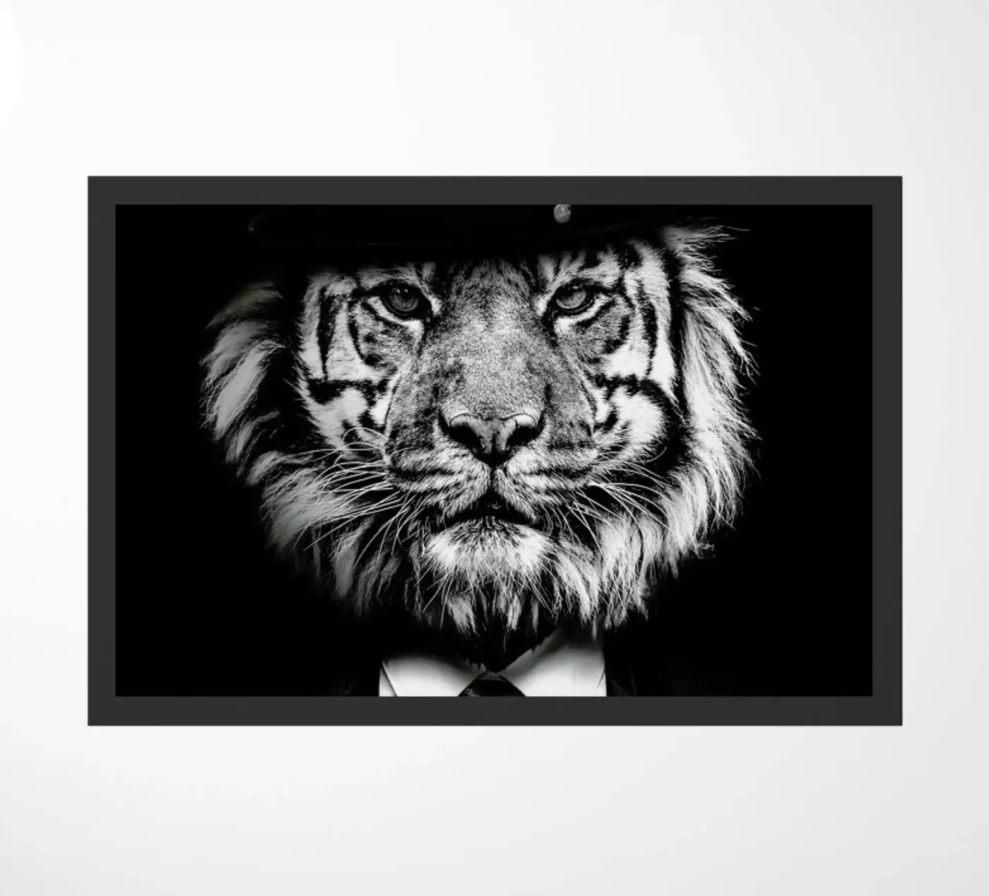 Classy Tiger 3 zerbino da Wouter Rikken