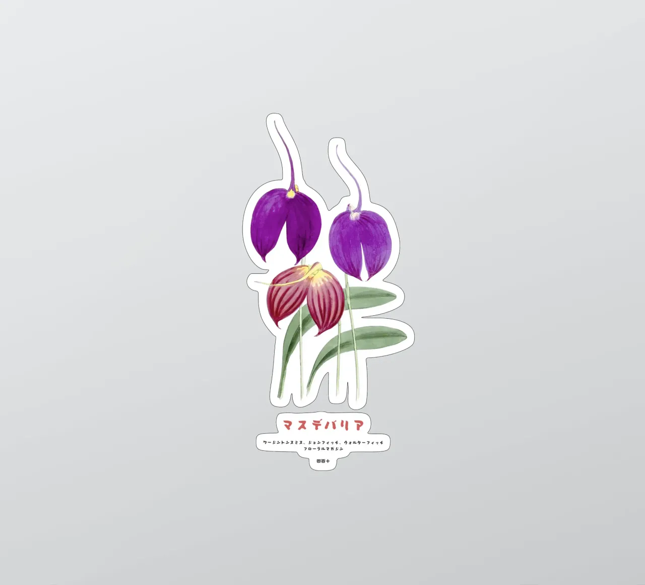 Fiori di Masdevallia d'epoca adesivo da Vintagrafica