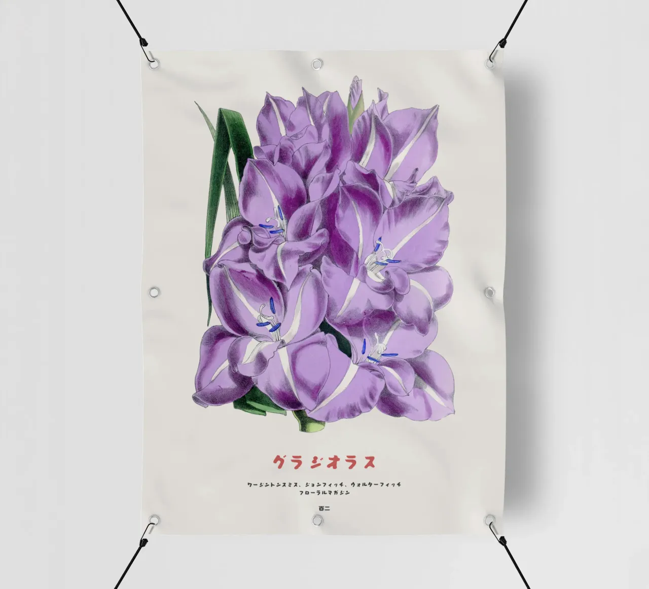 Grafico botanico giapponese del gladiolo telo in pvc da Vintagrafica