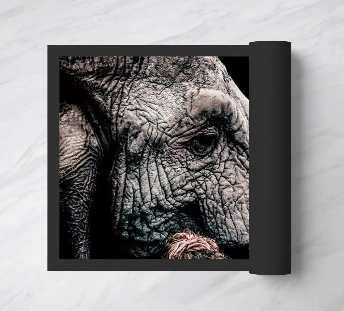 Elephant 4 doormat by Wouter Rikken