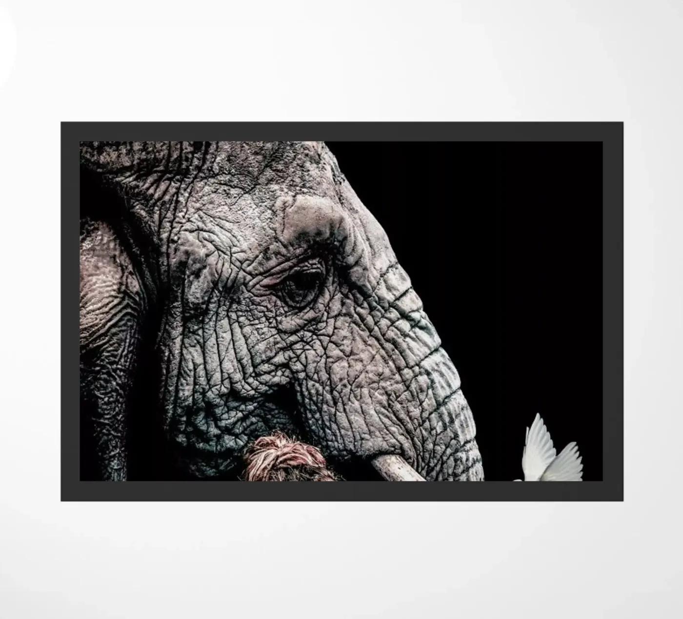 Elephant 4 doormat by Wouter Rikken