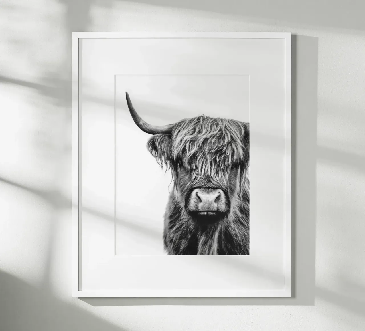 Bestiame ispido delle Highlands poster da Carinaprint