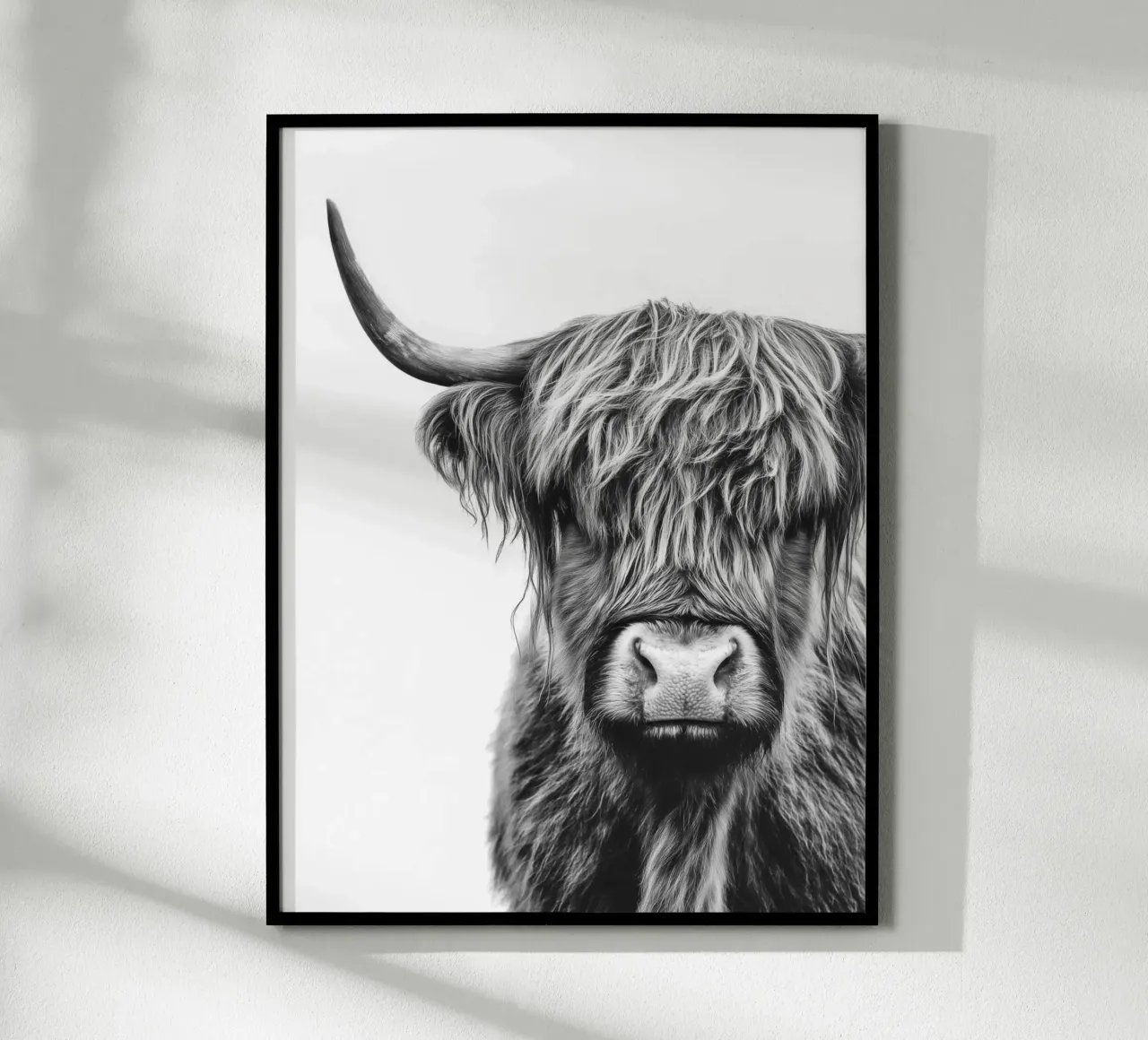 Bestiame ispido delle Highlands poster da Carinaprint