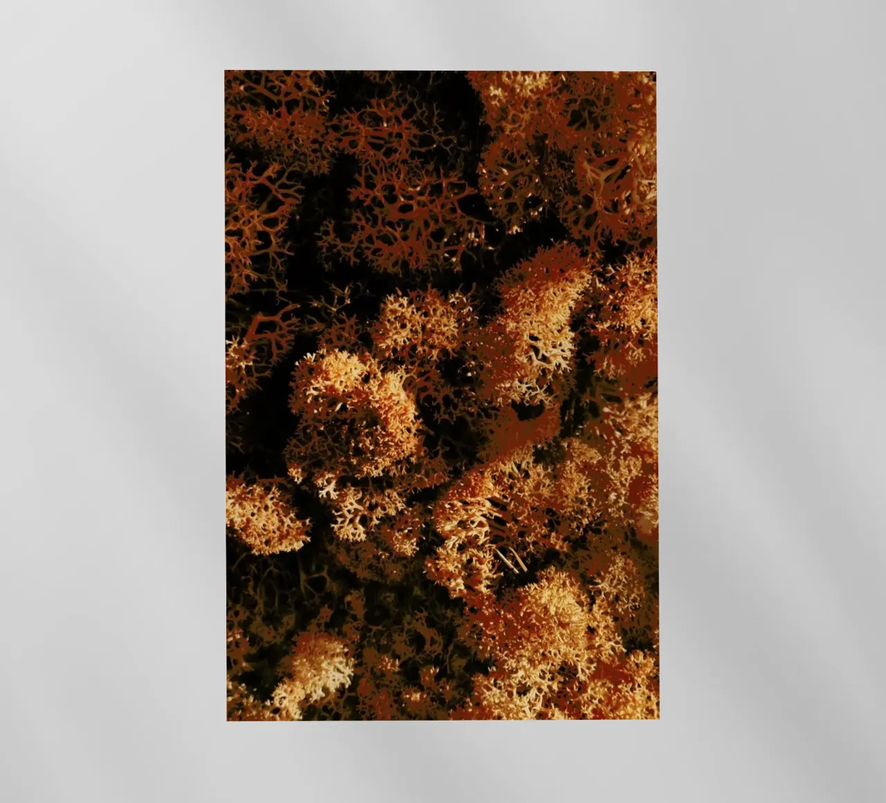 Light Shadow And The Sponge pellicola backlit da Sebastian Hilgetag