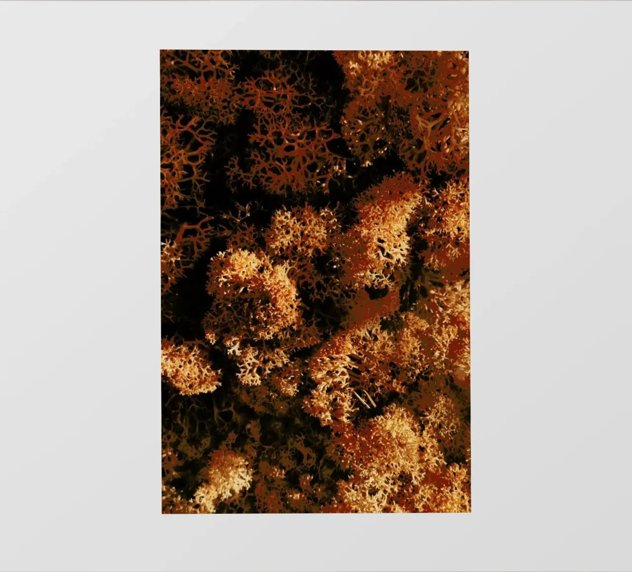 Light Shadow And The Sponge pellicola backlit da Sebastian Hilgetag